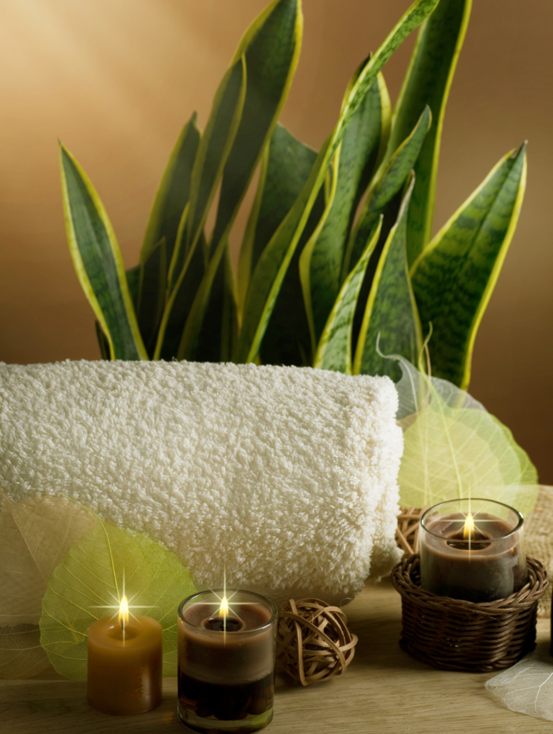 rolled towel with green plant and NUSPA candles