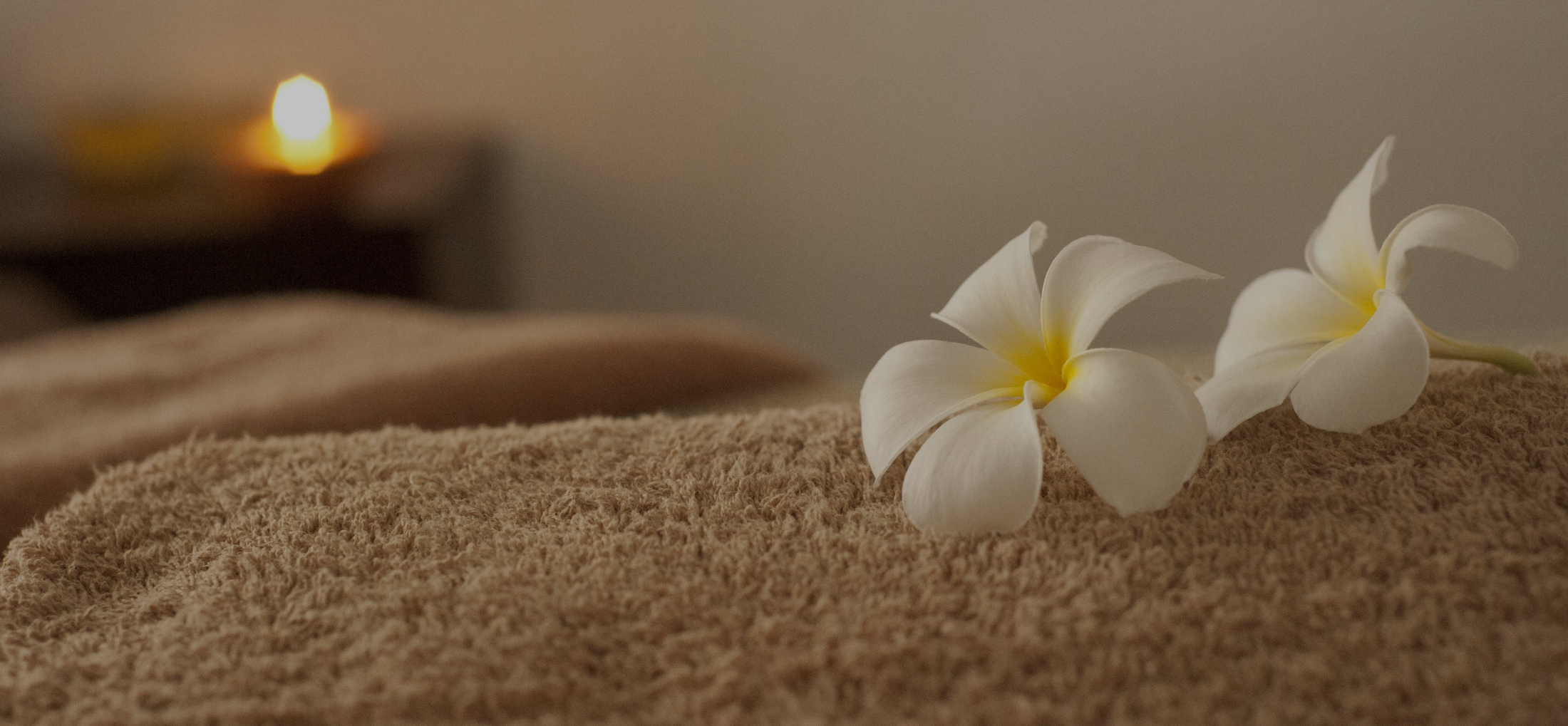 Lily on brown NUSPA towel